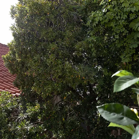 Vendégház Odin Dubrovnik